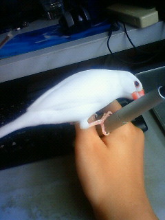 ������